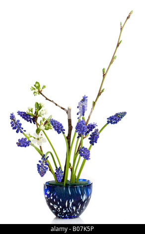 Frühling-Blumen-arrangement Stockfoto