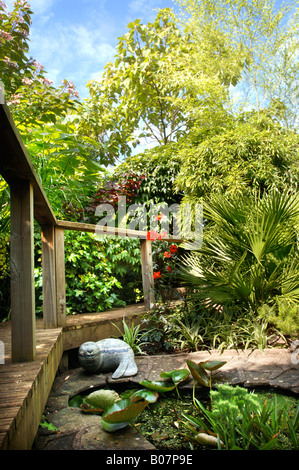 EIN TROPISCHER GARTEN-TEICH IM WESTEN VON ENGLAND UK MIT SEEROSEN UND EIN VENTILATOR-PALME PFLANZE NEBEN Stockfoto