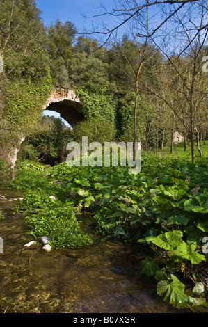 Überreste der römischen Wasserleitung Stockfoto