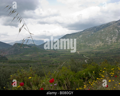 Landschaft in der Nähe von Kloster Hosios Loukas, Böotien Provinz, Griechenland Stockfoto