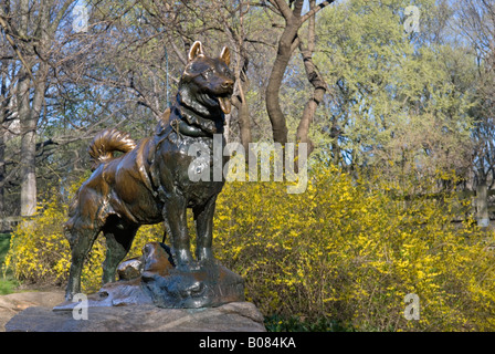 Statue von Balto im Central Park in New York City Stockfoto