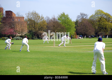 Cricket match, Charterhouse School, Godalming, Surrey, England, Vereinigtes Königreich Stockfoto