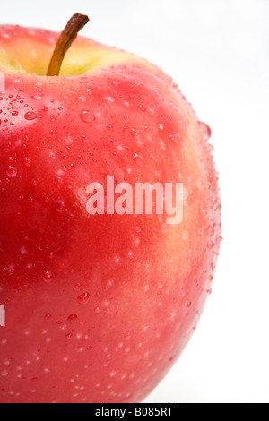 Malus Pink Lady Apfel auf weißem Hintergrund Stockfoto