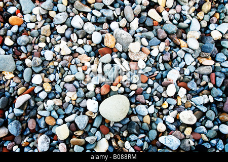 Bunte Kieselsteine am Strand Stockfoto