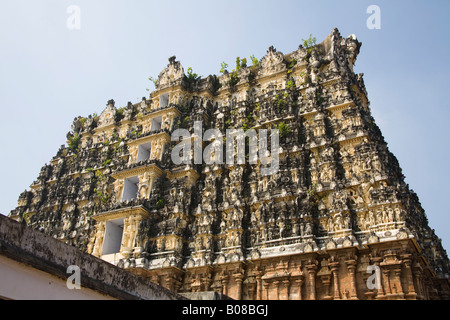 Ein Gopuram, Sree Padmanabhaswamy Tempel, Trivandrum, Kerala, Indien Stockfoto