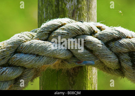 Seil befestigt, Pfosten, Zaun-Textur Stockfoto