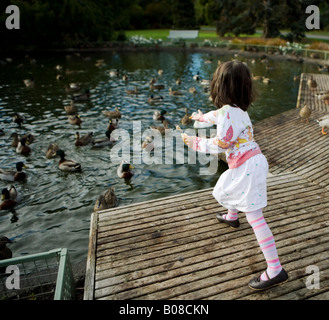 Mädchen im Alter von vier Jahren füttert die Enten in den öffentlichen Victoria Park, Palmerston North, Neuseeland Stockfoto