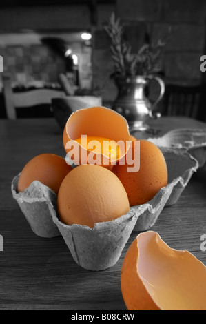Frische Bio Eiern In einem Eierkarton Stockfoto
