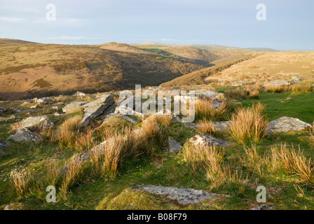 Blick auf das Dart-Tal von Combestone Tor, Dartmoor, UK, im April Stockfoto