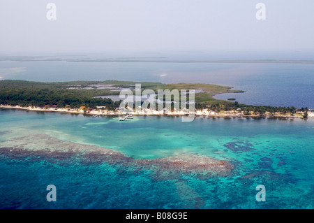 Strand am Blackbird Caye Turneffe Islands Belize auf Belize Barrier Reef die zweitgrößte in der Welt Stockfoto