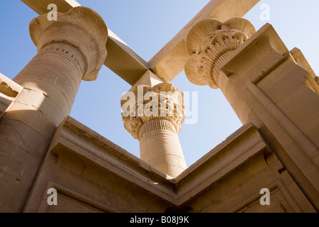 Blick himmelwärts Hauptstadt Köpfe in Trajans Kiosk am Tempel von Philae, Insel von Isis, Agiliki, Assuan, Ägypten Stockfoto