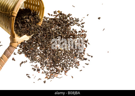 Ein überlaufenden Heap Roh Tee aus einem gewebten Scooper. Stockfoto