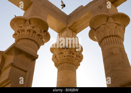 Blick himmelwärts Hauptstadt Köpfe in Trajans Kiosk am Tempel von Philae, Insel von Isis, Agiliki, Assuan, Ägypten Stockfoto