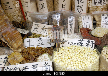 Säcke aus getrocknetem Fisch, Nüssen und Bohnen auf einem Markt in Xián, Shaanxi, China, Ostasien Stockfoto