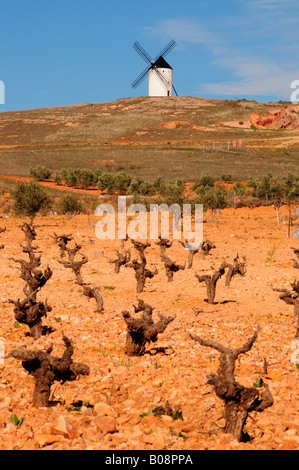 Windmühle auf dem Cerro de San Antón in der Nähe von Alcázar de San Juan, Region Kastilien-La Mancha, Spanien Stockfoto