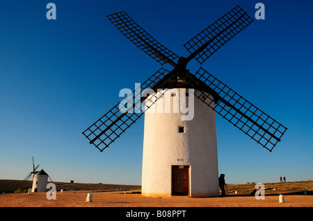 Windmühle im Nachmittag Licht, Campo de Criptana, Region Kastilien-La Mancha, Spanien Stockfoto