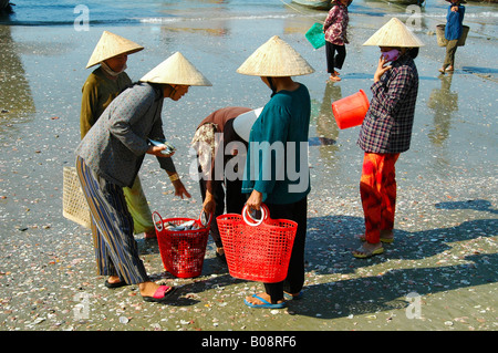 Fischerinnen im Hafen von Mui Ne, Vietnam, Südostasien Stockfoto