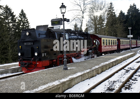 Brockenbahn am Rastplatz Drei Annen Hohne, Sachsen-Anhalt, Deutschland, Harz Stockfoto