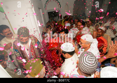 Gäste wirft Rosenblätter auf Scheich Medimir Naizi während einer Hochzeit, Sufi-Schrein, Bareilly, Uttar Pradesh, Indien, Asien Stockfoto