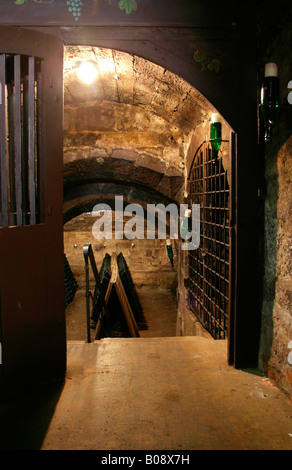 Eingang zu einem alten Gewölbekeller, verwendet für die Speicherung und Vergärung von Champagner, Kessler Sekt Weingut, Esslingen, Baden-Württemberg Stockfoto