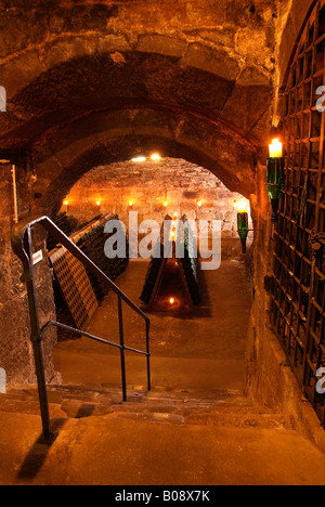 Eingang zu einem alten Gewölbekeller, verwendet für die Speicherung und Vergärung von Champagner, Kessler Sekt Weingut, Esslingen, Baden-Württemberg Stockfoto