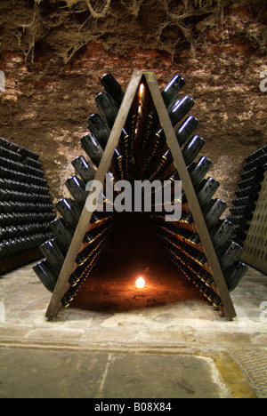 Holzregale für die Lagerung von Champagner-Flaschen während der Gärung in einem alten Gewölbekeller, Kessler Sekt Weingut, Stockfoto