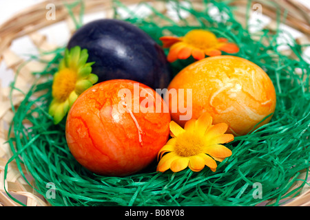 Bemalte Ostereier im Korb mit dekorativen Blumen Stockfoto