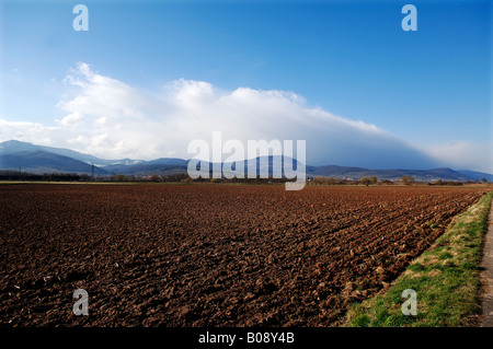 Blick auf einem frisch gepflügten Feld in Richtung Les Vosges Berge und die Haut-Koenigsbourg, Guémar, Elsass, Frankreich, Europa Stockfoto