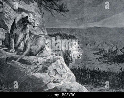 "Ein Loewenpaar Auf der Lauer," Holzschnitt zeigt "A Pair of Lions auf der Jagd" von "Moderne Kunst in Meisterholzschnitten" Stockfoto