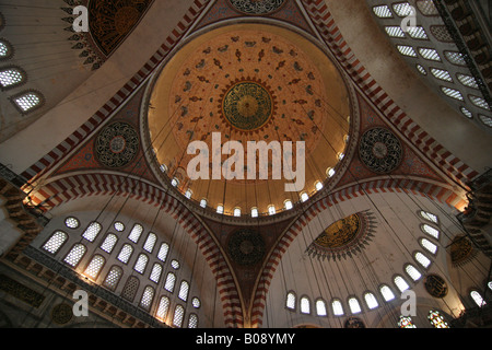 Kuppeln, Sueleymaniye Moschee, Suleiman Moschee, Istanbul, Türkei Stockfoto