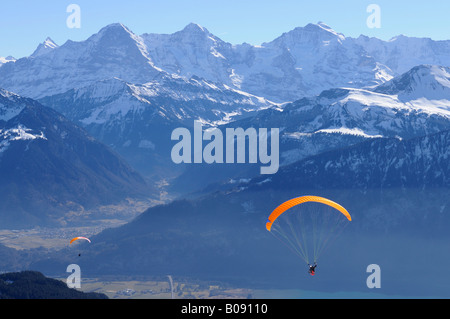 Gleitschirm vor Eiger Chain, Mt. Moench und Jungfrau, Berner Oberland, Highlands, Mt. Niederhorn, Schweizer Alpen, Inter Stockfoto