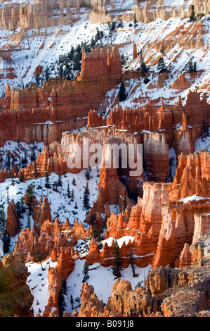 Hoodoos des Bryce Canyon, USA, Bryce Canyon National Park Stockfoto