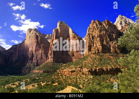 Gericht der Patriarchen, Bergkette der Zion National Park, USA, Zion NP Stockfoto