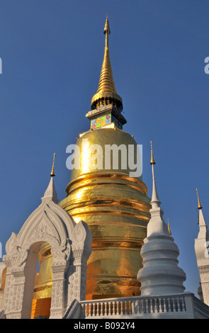 Goldene Pagode (Stupa) des Wat Suan Dok Tempel in Chiang Mai, Thailand, Südostasien Stockfoto