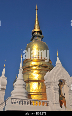 Goldene Pagode (Stupa) des Wat Suan Dok Tempel in Chiang Mai, Thailand, Südostasien Stockfoto