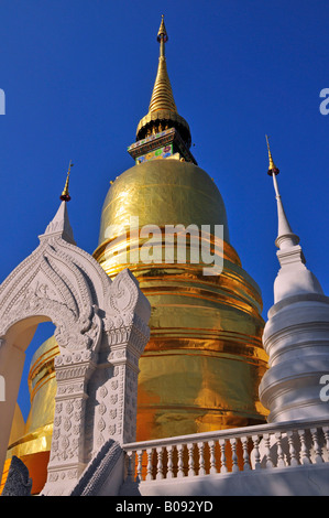 Goldene Pagode (Stupa) des Wat Suan Dok Tempel in Chiang Mai, Thailand, Südostasien Stockfoto