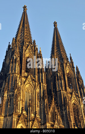 Westfassade des Kölner Dom, Köln, Nordrhein-Westfalen, Deutschland Stockfoto