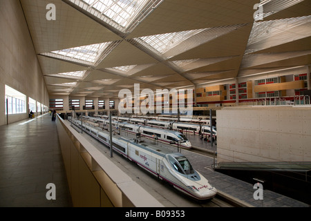 Hochgeschwindigkeitszug AVE der spanischen Eisenbahngesellschaft Renfe in Zaragoza Delicias Bahnhof, Zaragoza, Saragossa, Aragon, S Stockfoto