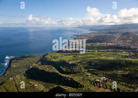 Terrassierte Landschaft entlang der Küste von Teneriffa, Kanarische Inseln, Spanien Stockfoto