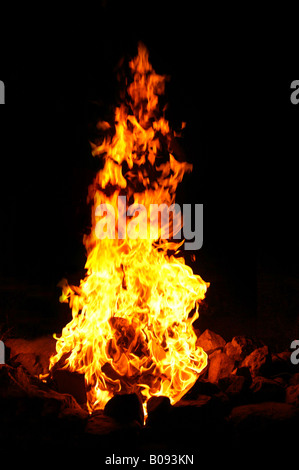 Loderndes Feuer, Lagerfeuer Stockfoto