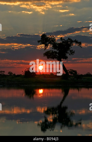 Sonnenuntergang über einem Wasserloch in Savuti, Chobe Nationalpark, Botswana, Afrika Stockfoto