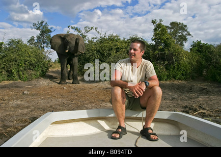 Touristen auf einem Boot und ein afrikanischer Bush Elefant (Loxodonta Africana) am Ufer des Chobe River, Chobe National Park, Botswa Stockfoto