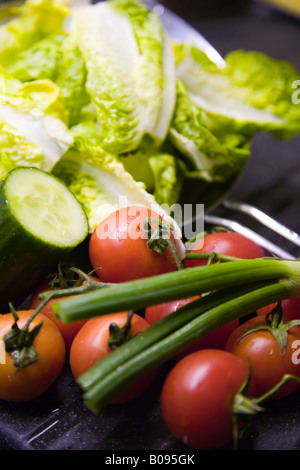 Romaine Kopfsalat, Tomaten, Gurken und Schnittlauch Stockfoto