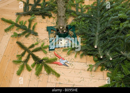 Weihnachtsbaum mit seinem Rüssel noch in den Baumbestand, Branchen und Gartenarbeitscheren auf dem Boden neben dem Stand abgebaut Stockfoto