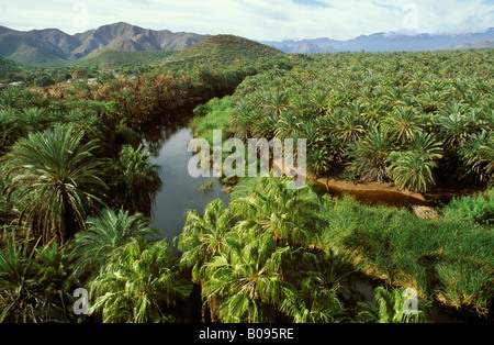 Mulegé, Río Rosalía, Fluss und Palm Oase, Baja California Sur, Mexiko Stockfoto