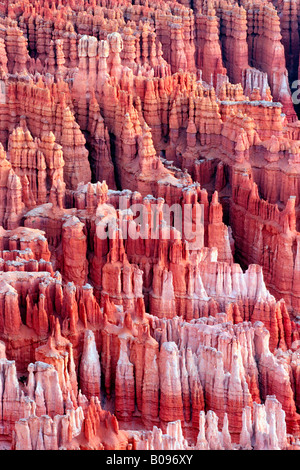 Amphitheater, Bryce-Canyon-Nationalpark, Utah, USA Stockfoto