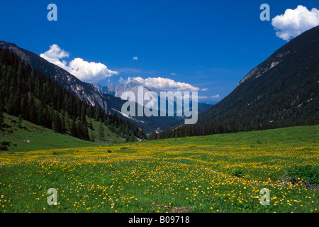 Alm, Eppzirler Alm und das Wettersteingebirge, Tirol, Austria, Europe Stockfoto