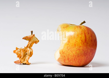 Stock Foto von einem ausgetrockneten alten Apfel-Kern neben einem frischen Apfel-Kern ist der Aufnahme vor einem weißen Hintergrund Stockfoto