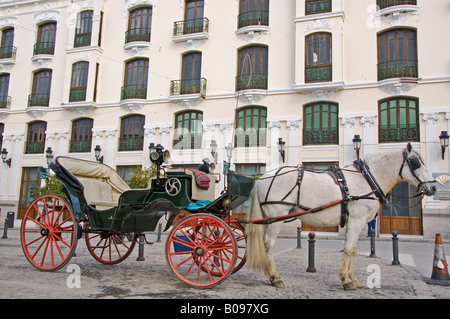 Pferd und Wagen, Ronda, Andalusien, Spanien Stockfoto