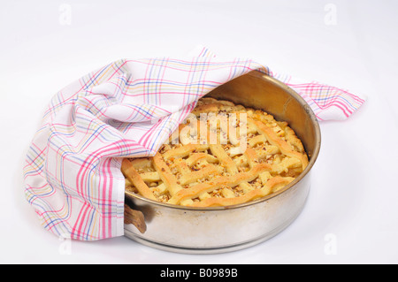 Hausgemachter Apfelkuchen Stockfoto